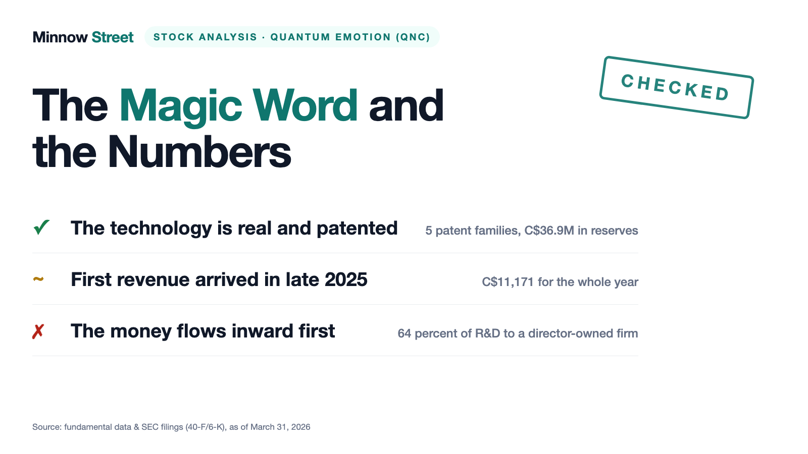 Quantum eMotion: $11,171 of Revenue for the Whole Year — and $6.8 Million for Stock Options