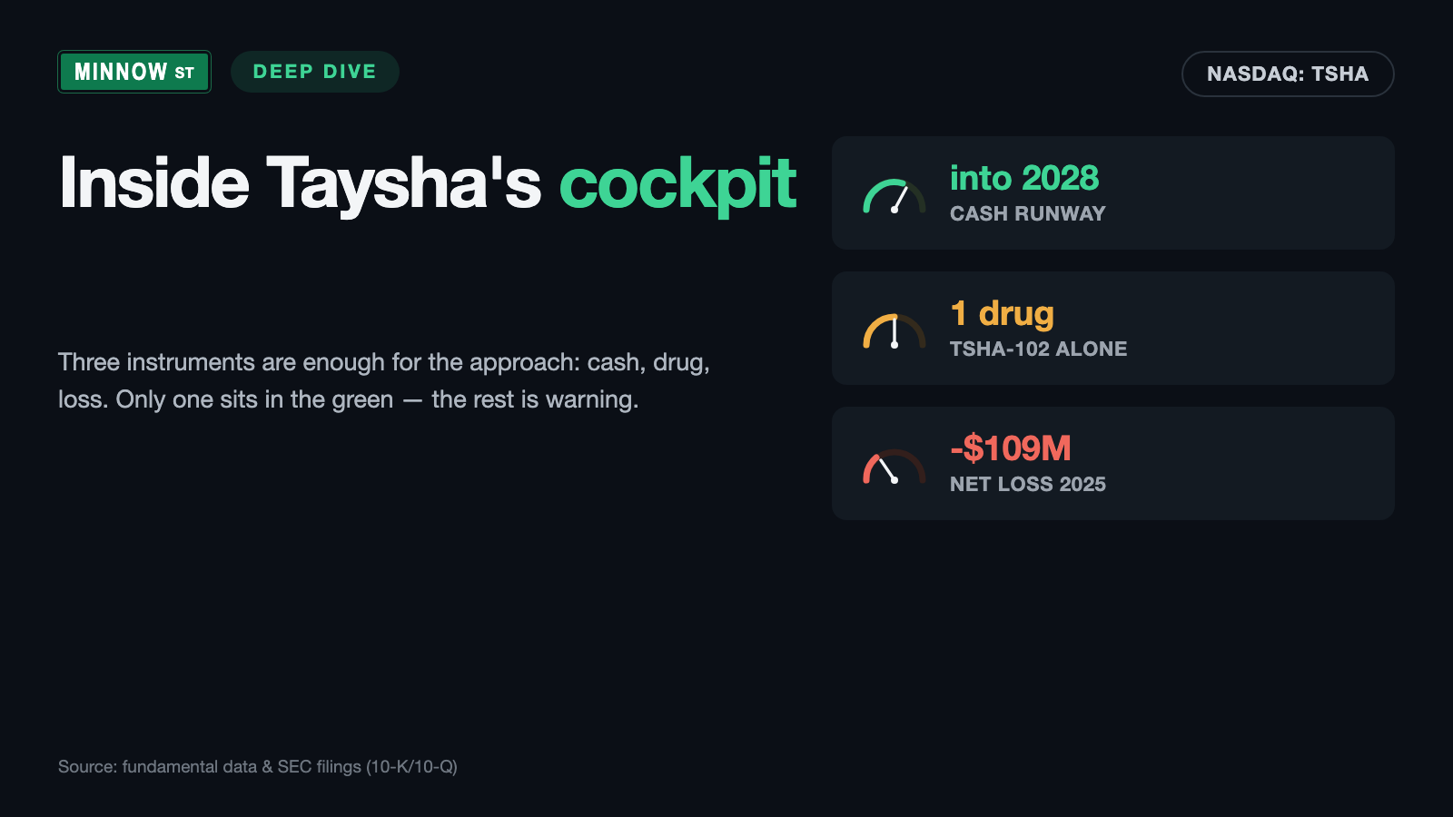 Taysha Stock: The Insolvency Scanner Sounds the Alarm — Yet the Cash Lasts into 2028